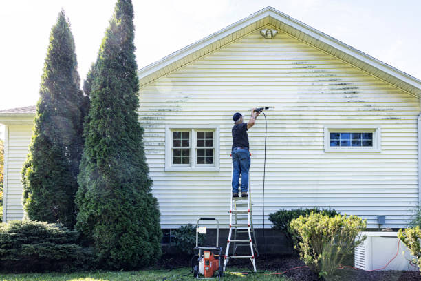 Best Affordable Pressure Washing  in Wallace, ID
